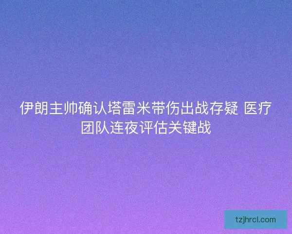 伊朗主帅确认塔雷米带伤出战存疑 医疗团队连夜评估关键战