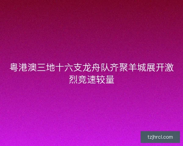 粤港澳三地十六支龙舟队齐聚羊城展开激烈竞速较量